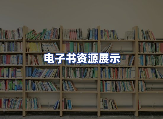 电子书资源展示